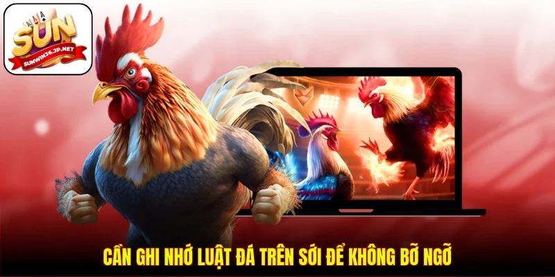 Cần ghi nhớ luật đá trên sới để không bỡ ngỡ