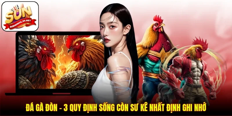 Đá Gà Đòn - 3 Quy Định Sống Còn Sư Kê Nhất Định Ghi Nhớ