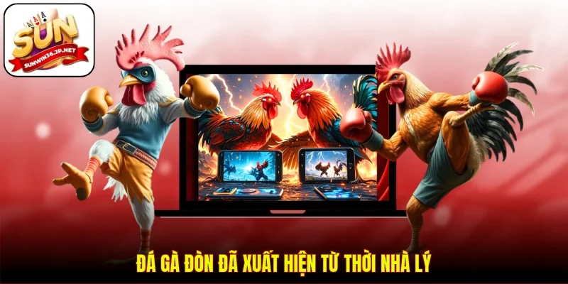 Đá gà đòn đã xuất hiện từ thời nhà Lý