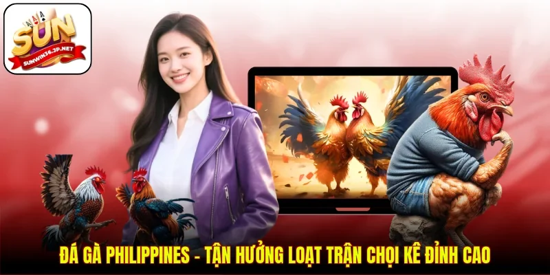 Đá Gà Philippines - Tận Hưởng Loạt Trận Chọi Kê Đỉnh Cao