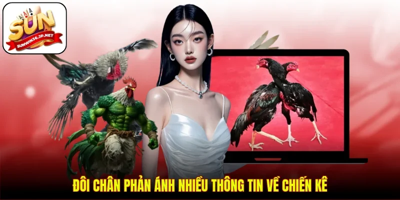 Đôi chân phản ánh nhiều thông tin về chiến kê