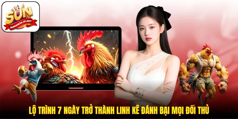 Lộ trình 7 ngày trở thành linh kê đánh bại mọi đối thủ