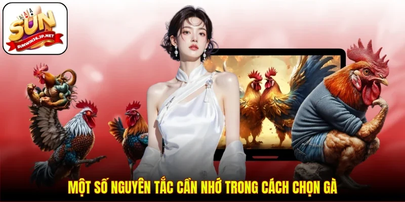 Một số nguyên tắc cần nhớ trong cách chọn gà