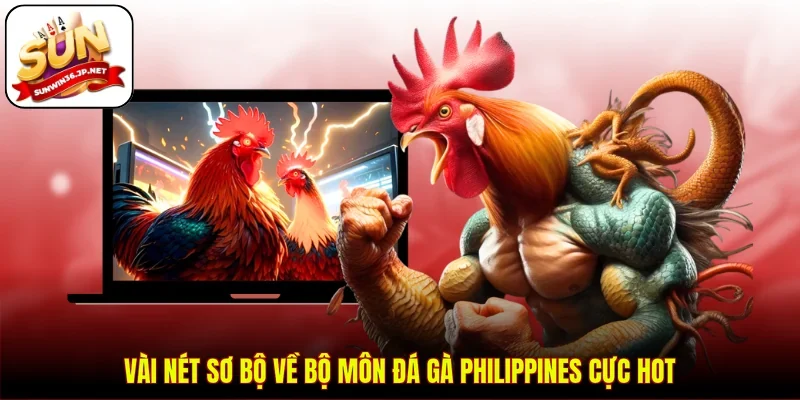 Vài nét sơ bộ về bộ môn đá gà Philippines cực hot